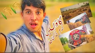 Gaon main gandum ki ktai || 🌾🌾 || bhusa for Asim and Ali hassan ||😂😂😂😂😂😂||