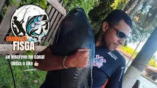  Três peixes engatados ao mesmo tempo 🎣🎣🎣 só risada kkk dublês triplo.