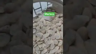 marisco