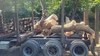 WESTERN STAR TRIAXLE LOG TRUCK - Tri Axle Log Truck w/Prentice 120 Log Loader