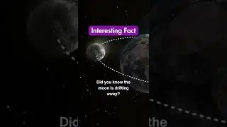 The #moon is retreating! How could the #tides affect Earth's gravity pull on the Moon? #astrofacts