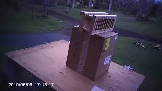 Crosman Phantom .177 Penetration Test