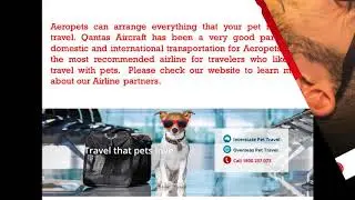 Aeropets Domestic and Interstate Pet Transport