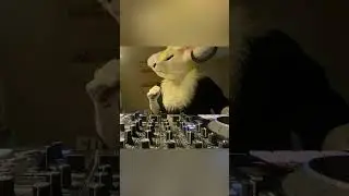 Dubstep 🦊...#dj #djmix #dubstep #music #fennec #fursuit #furry #viral #fyp