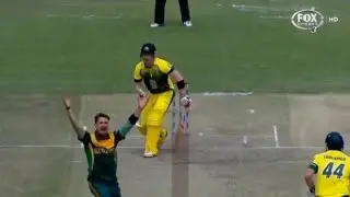 Brad Haddin Vs Dale Steyn ! Steyn Gun Bunny - Magical Deleveries . Brad Haddin -No Clue 😵
