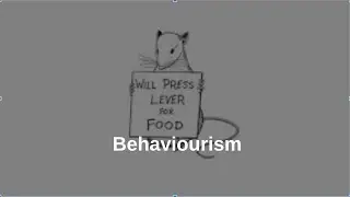 Behaviourism
