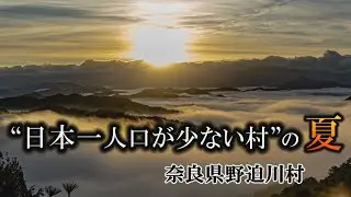 【日本一人口が少ない村】奈良県野迫川村（のせがわむら）の夏   ドローン絶景雲海　関西テレビ「ザ・ドキュメント　のせ川村に恋する人達～日本一人口が少ない村の夏～」10月21日（金）深夜放送予定