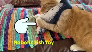 SPOT Flippin' Fish Interactive Cat Toy Tested 🐈 @gadgetify