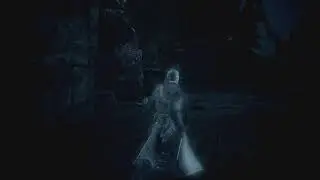 Assassin Interception (Michael Crawley) (Assassin's Creed Rogue)