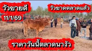 ชมบรรยากาศชื้อขายวัวตลาดนางัว อ.สว่าง จ.สกลนคร #ราคาวัววันนี้ 11/1/69