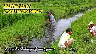 Dijamin Puas !!! Mancing Belut Dispot Irigasi Sawah Sarangnya Belut Babon