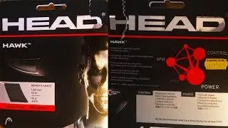 Head Hawk Review & Playtest