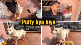 Puffy Ne Naya Coat Phad Diya 😲 | Family Vlog