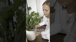 Полезный трюк, чтобы узнать, пора ли поливать растения