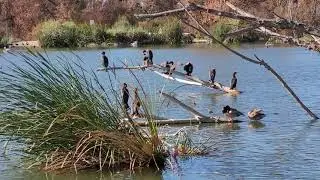 Bird watching at the Sepulveda Basin Wildlife Reserve