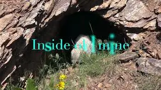 Exploring old mine in Plumas county