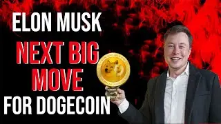 ИЛОН МАСК!! СЛЕДУЮЩИЙ БОЛЬШОЙ ШАГ ДЛЯ DOGECON!!
