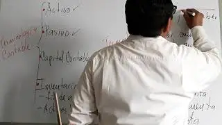 Terminología contable