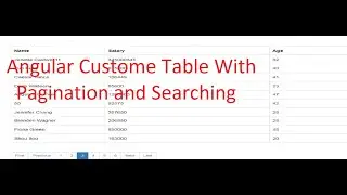Angular 7 8 Custome Table With Searching and Pagination