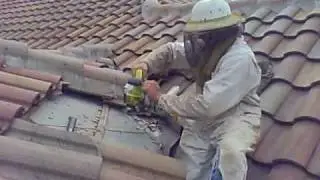Honey Bees in Barrel Tile Roof - Orlando Bee Removal 321-206-5100