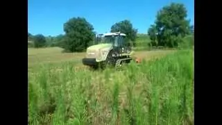 Claas Challenger 95E e frangizzolle combinato F.lli Parenti by Guardigli Group
