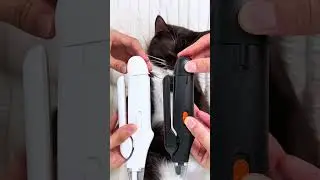 Relaxing cat spa experience #cats #petnail