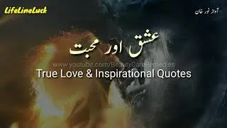 Ishq Aur Mohabbat | True Love Quotes |  عشق اور محبت | Inspirational Quotes