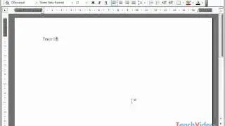 Ввод текста в Microsoft Word 2003 (16/49)