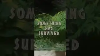 The Lost World Jurassic Park VHS Review! (Full video on my channel) #shorts #90smovies #jurassicpark