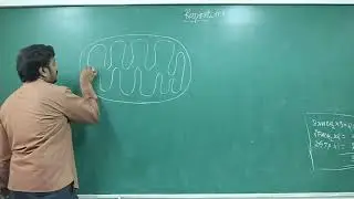No.1 Residential PU Science College in Davanagere | SPSMR 27 RESPIRATION