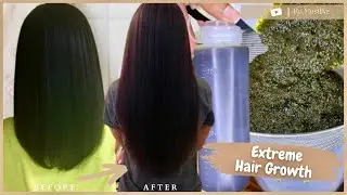USE THIS OIL EVERY DAY TO TRIPLE HAIR GROWTH | DO NOT RINSE THIS OUT & HAIR WILL NEVER STOP GROWING