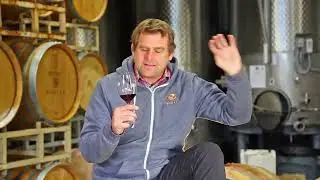 2022 Pinot Noir