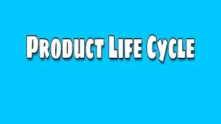 Product Life Cycle| 5 stages with Marketing Strategy| Hinglish | COMMICON