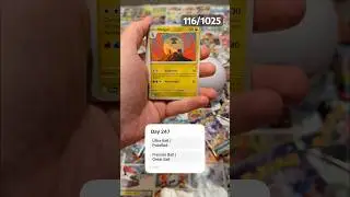 We Collected Every Pokemon From Journey Together! - Day 247