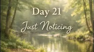 Day 22: Gentle Integration | Regulation Practice Journey & Nervous System Safety Training