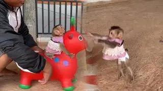 Zhuly Monkey Jumping with Dad