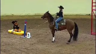 Hannah Howe and High Flying X Tex round 2 Cowboy Up Challenge at the Calgary Stampede 2025