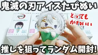 鬼滅のランダムぬいぐるみ！推しを狙って開封したよ【鬼滅の刃 アイスたぴぬい Vol.3】