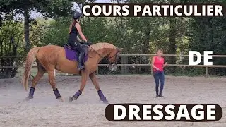 COURS PARTICULIER DE DRESSAGE ! (Equi Galwaye)