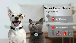 THEi 6th Graduation Exhitbition - Product Design: TANG Yuet Sze - Smart Health Tracker for Pet