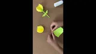 DIY TULIP FLOWER  #cartoon #art #craftideas #carft #viralvideo #reels #trendingshorts #tulip