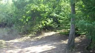 IMGP0118