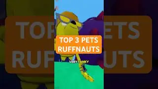 top 3 BEST pets in RUFFNAUTS!