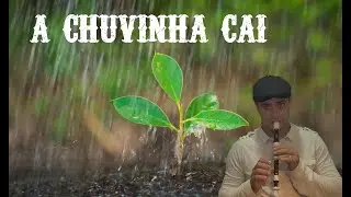 A CHUVINHA CAI 
