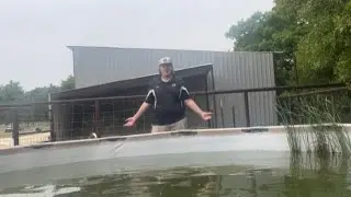 Stocking bait into my swimming pool pond! FEEDING FRENZY!!!!