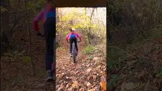 MTB ASMR  #mtb #asmr #asmrsounds #mtblife #trail #cycling #cyclinglife #giant #foxhelmet #sram