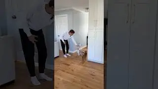 пришлось испортить Курту и Гэри Национальный день кошек