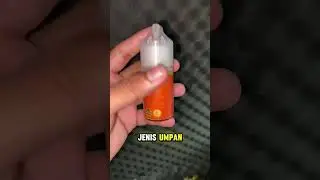 Essen ikan bawal aroma bolu melon nangka🚀💯 #essen #umpanessen