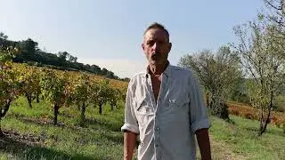 Yves Falmet Mini S&eacute;rie - L'enherbement pour un sol vivant