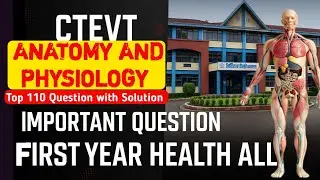 CTEVT Anatomy | Important Questions Solution 2082 | 1st Year Health Science